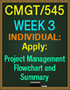 CMGT/545 Week 3 Project Management Flowchart and Summary